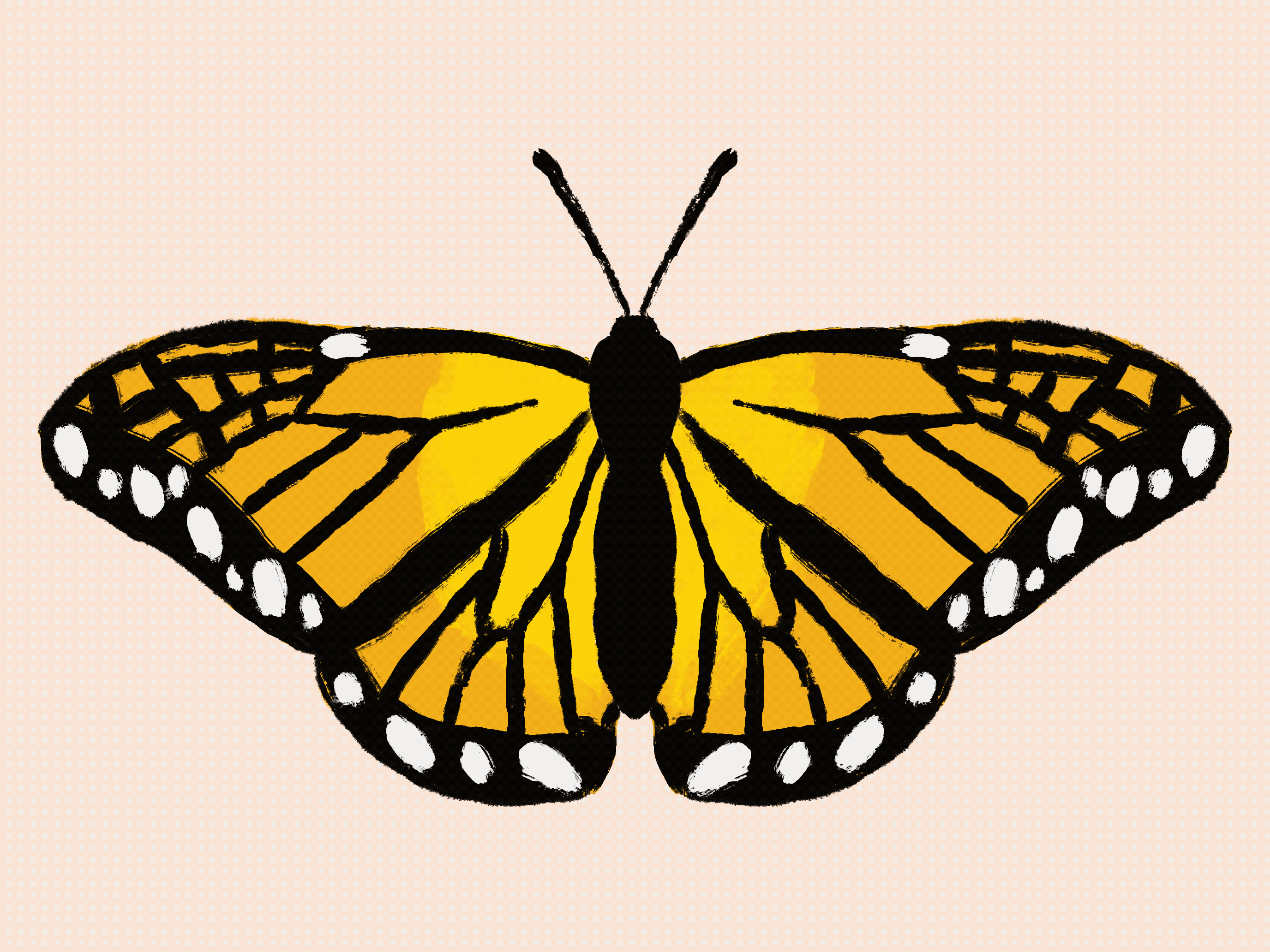 A hand-drawn animation of a flapping butterfly